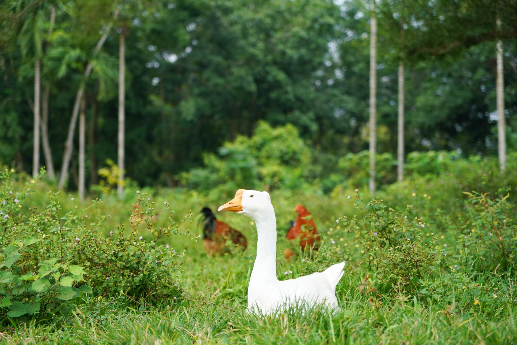 BWIN����Ӯ����(�й���)Ψһ�ٷ���վ-��ӭݰ��