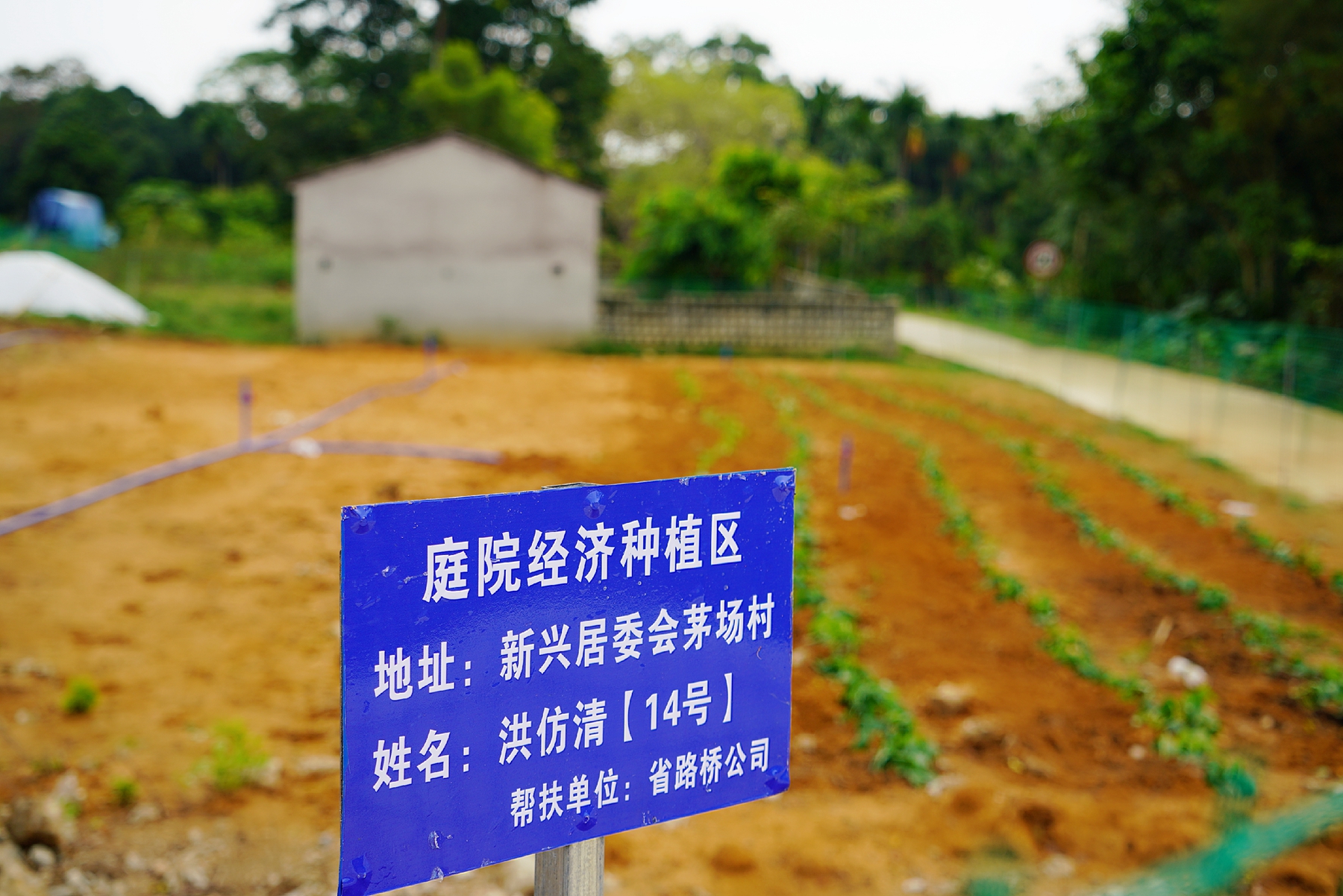 BWIN����Ӯ����(�й���)Ψһ�ٷ���վ-��ӭݰ��