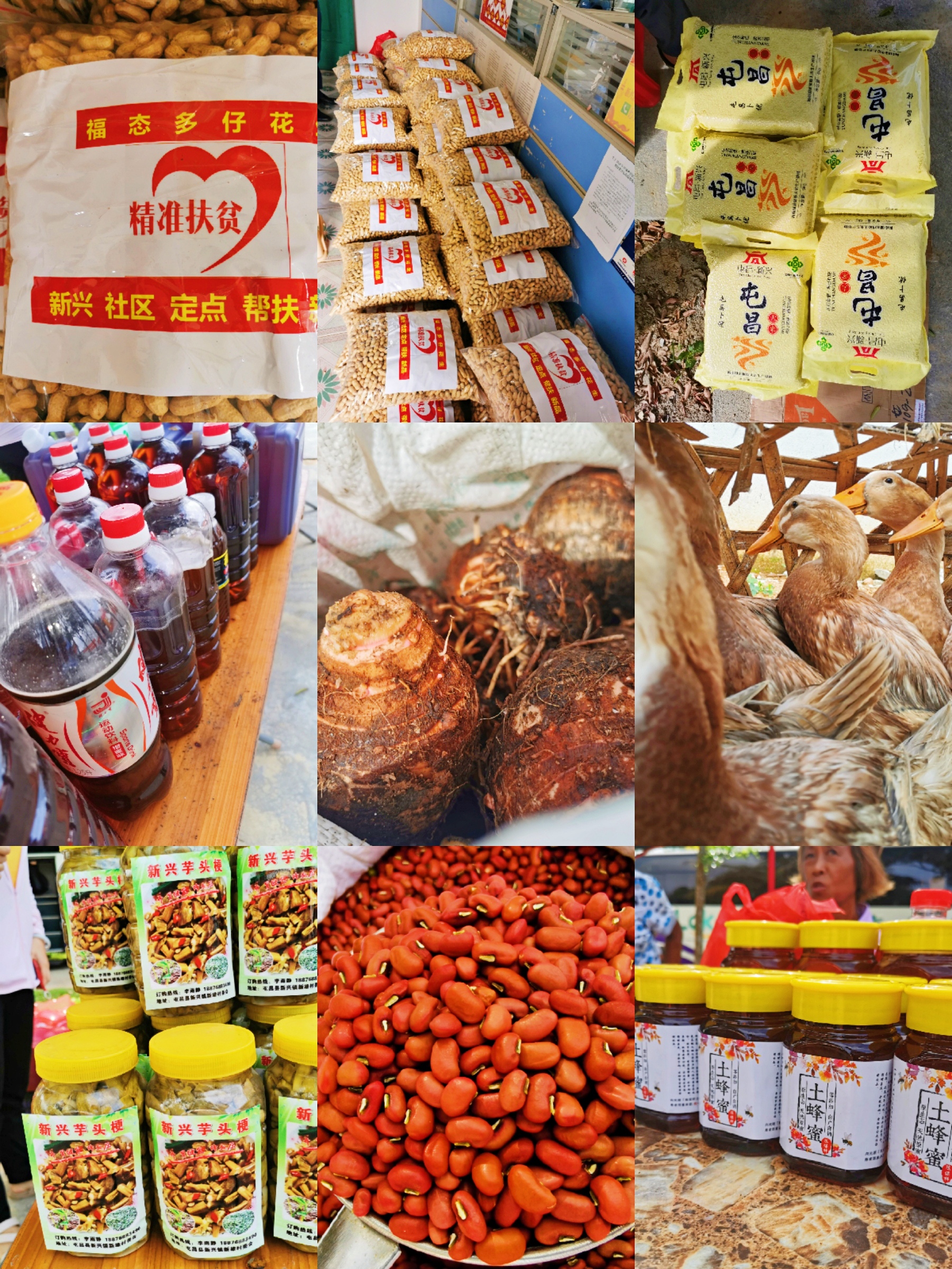 BWIN����Ӯ����(�й���)Ψһ�ٷ���վ-��ӭݰ��